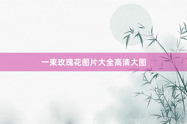 一束玫瑰花图片大全高清大图