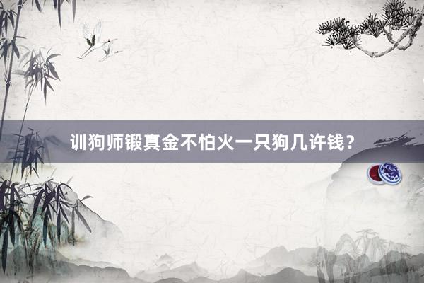 训狗师锻真金不怕火一只狗几许钱？