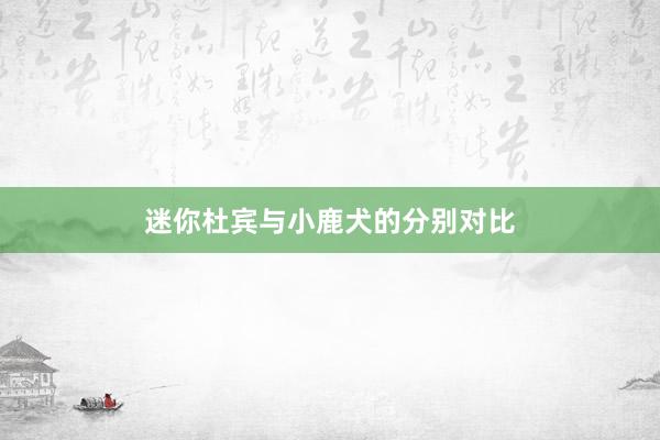 迷你杜宾与小鹿犬的分别对比